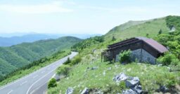 【高知県】天狗高原キャンプ場！四国カルスト台地で森林セラピーができる展望風呂付きキャンプ場をレポート…